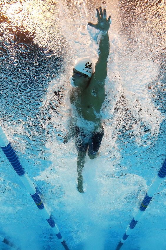 Natation