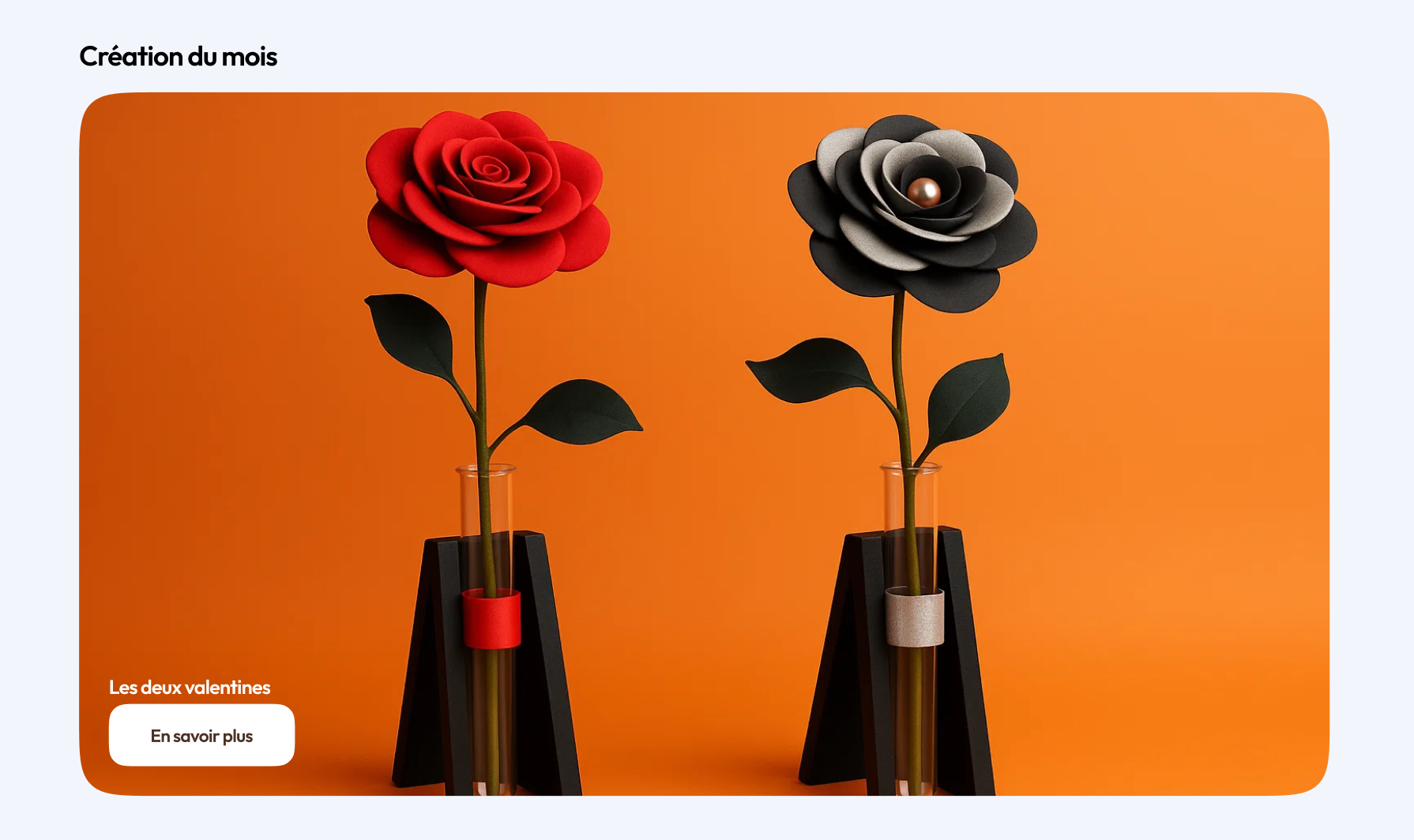 Site E-commerce - Aperçu 2