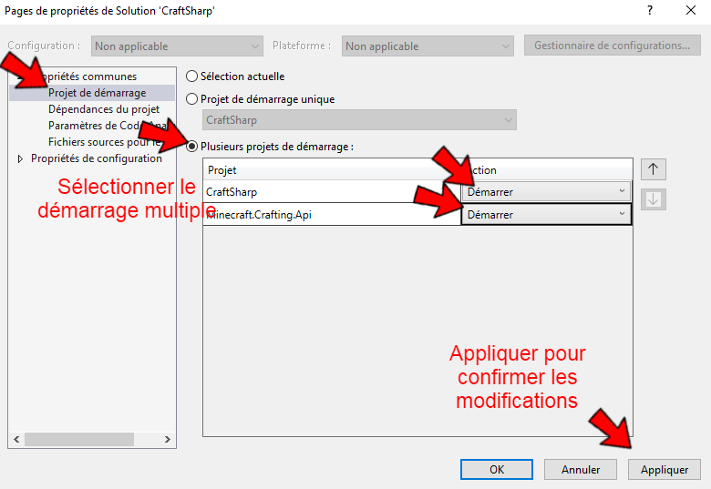 Comment lancer les plusieurs projets de démarrage