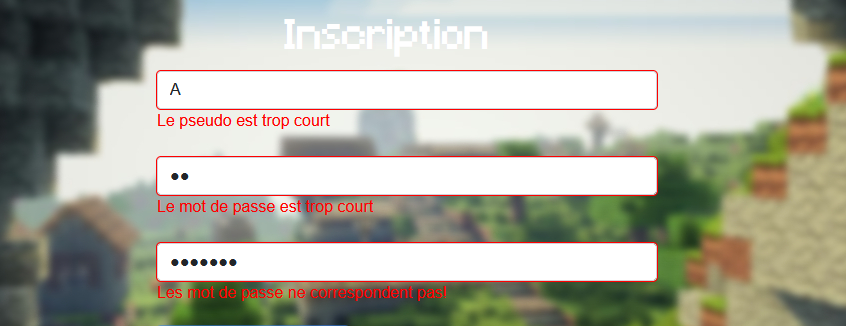 Erreur Taille Inscription